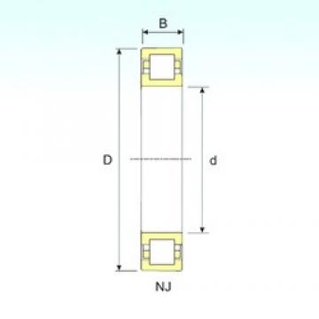 25 mm x 62 mm x 17 mm  ISB NUP 305 Rolamentos cilíndricos