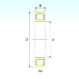 100 mm x 180 mm x 46 mm  ISB NJ 2220 Rolamentos cilíndricos