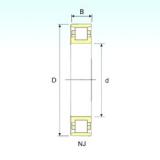 105 mm x 190 mm x 36 mm  ISB N 221 Rolamentos cilíndricos